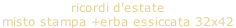 ricordi d'estate  misto stampa +erba essiccata 32x42